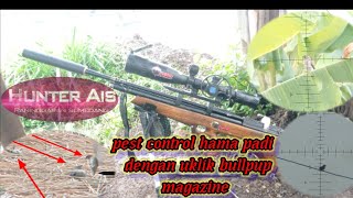 PEST CONTROL HAMA PADI dengan uklik bullpup magazine 2022