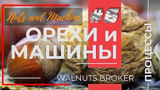 Есть ли смысл выращивать орехи? Куда его везут с Украины? Знает Walnuts Broker