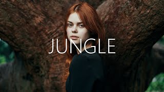 Alok, The Chainsmokers & Mae Stephens - Jungle (Lyrics) Resimi