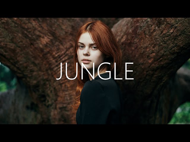 Alok, The Chainsmokers u0026 Mae Stephens - Jungle (Lyrics) class=