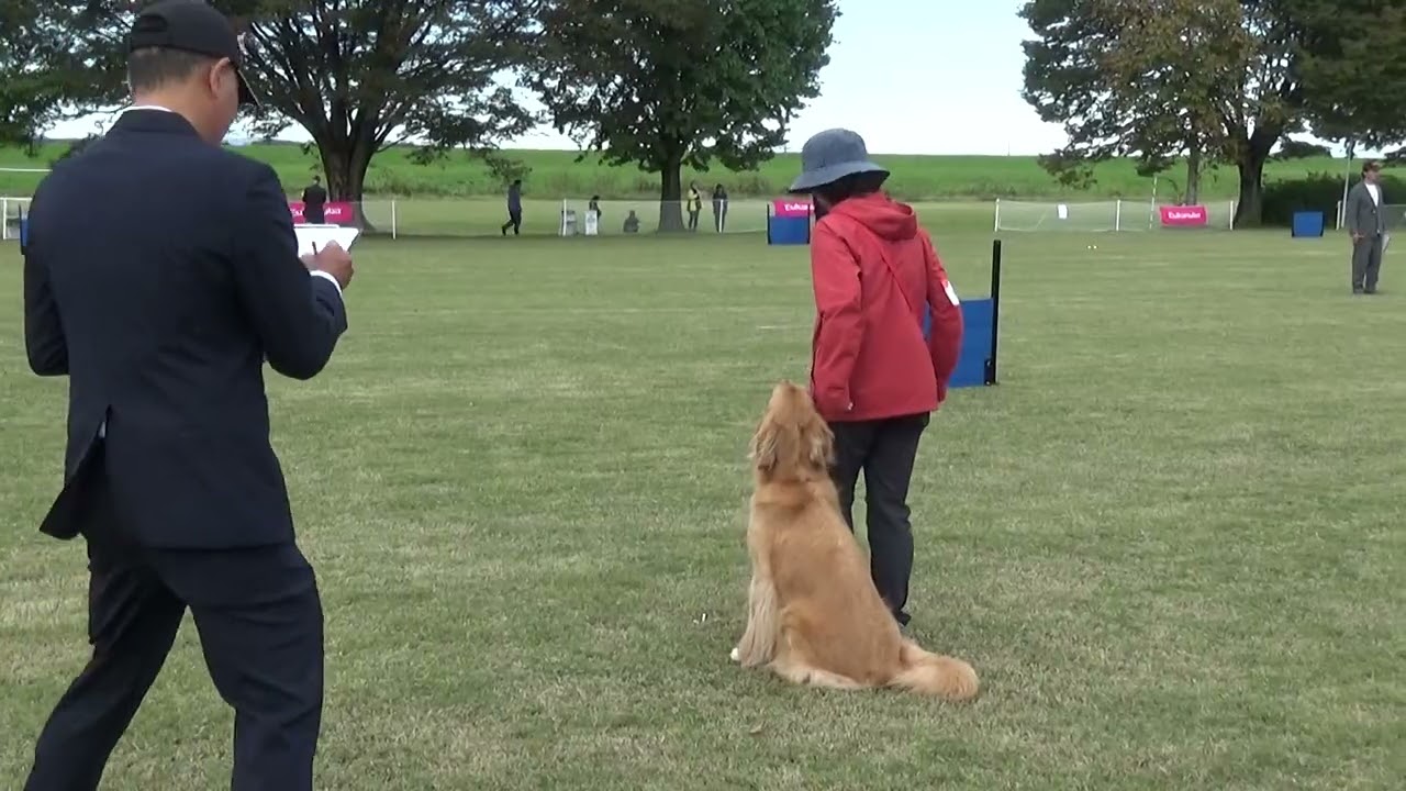 2025.11.1JKC秋季本部訓練競技会　オリビア