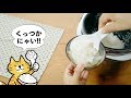 曙産業 ねこしゃもじ、こねこしゃもじ 猫好き 必見!