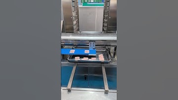 Fully automatic tray - sorting machine Fully automatic tray - arranging machine