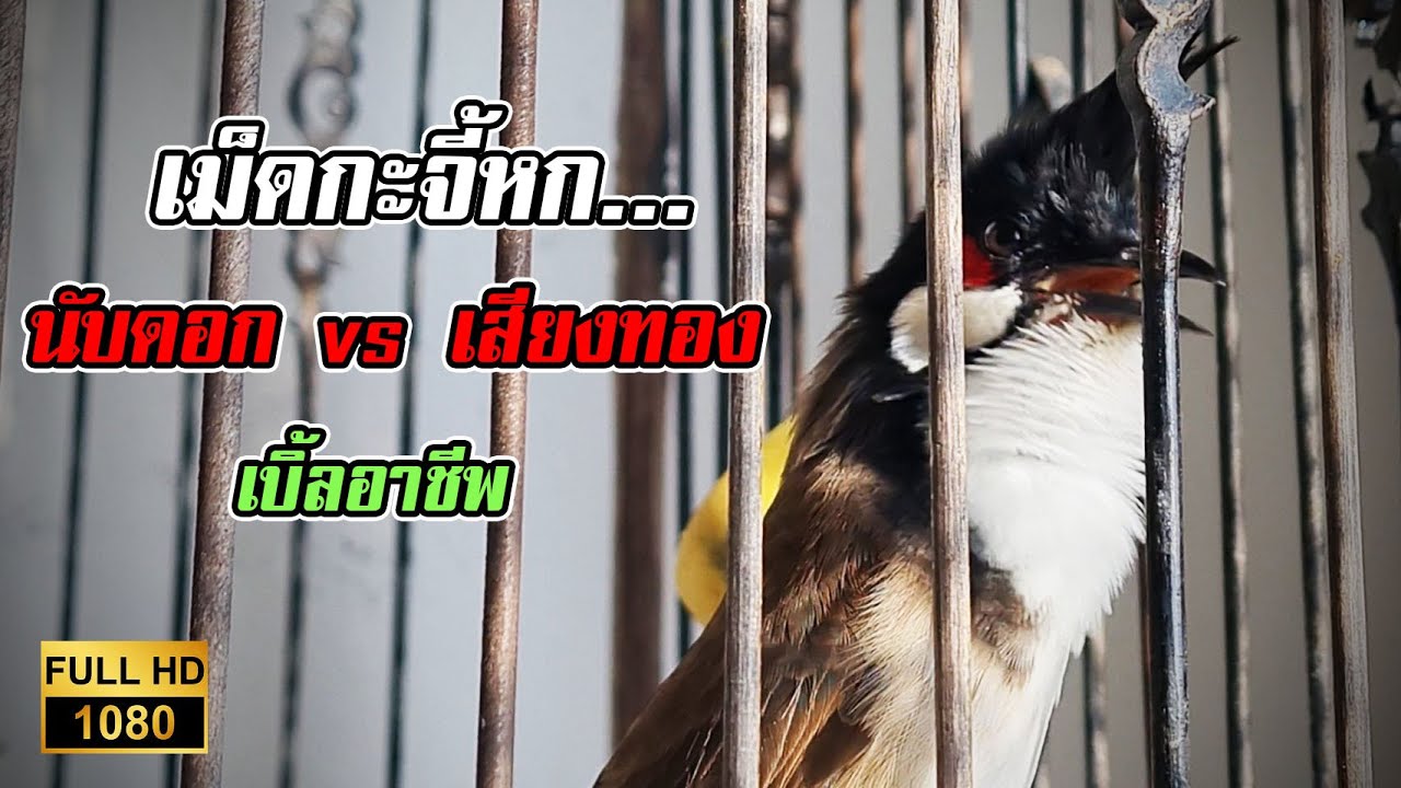 เพลง เสียงทอง 