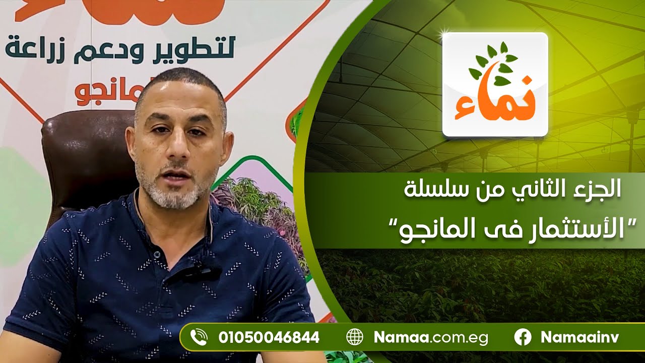 سلسلة الإستثمار فى المانجة (المشاكل والحلول) الجزء الثانى: تاسيس مزرعة ...