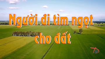 Những tấm gương điển hình học tập Tư tưởng, Đạo đức,  Phong cách Hồ Chí Minh