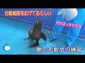 【オットセイ】エマちゃんのお散歩練習 (伊勢シーパラダイス)