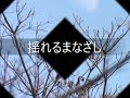 揺れるまなざし / 小椋佳 by nasanahc
