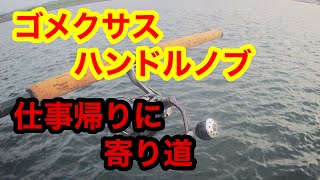 仕事帰りの寄り道フィッシング［ゴメクサスハンドルノブ］