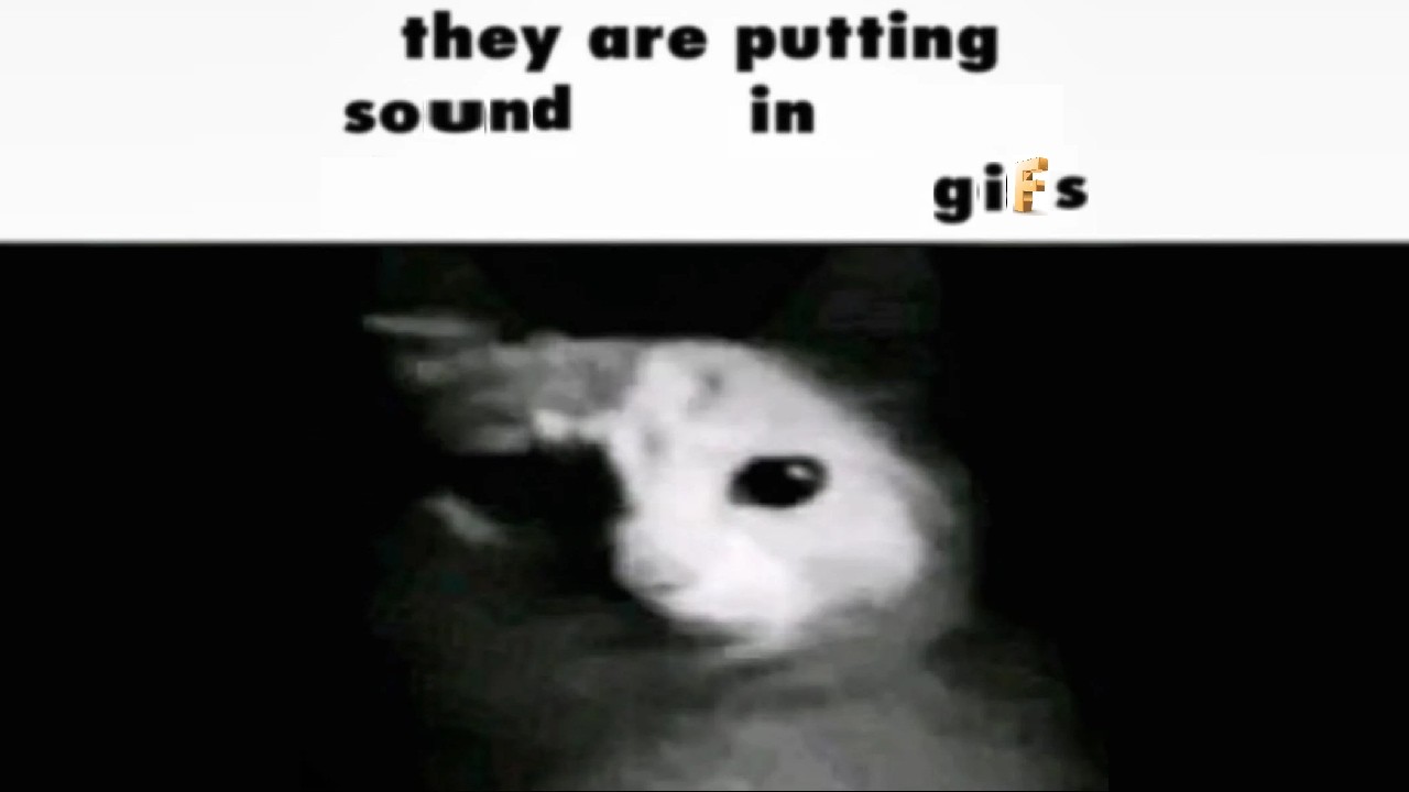 GIFs but with sound 2