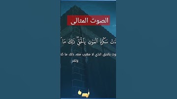 سورة ق القارئ || حذيفة محمد العطار وليس إسلام صبحى ولا رعد الكردى