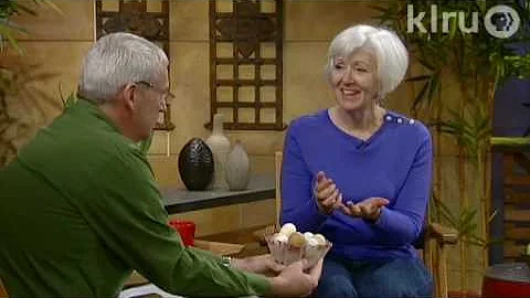 Backyard chickens: Central Texas Gardener