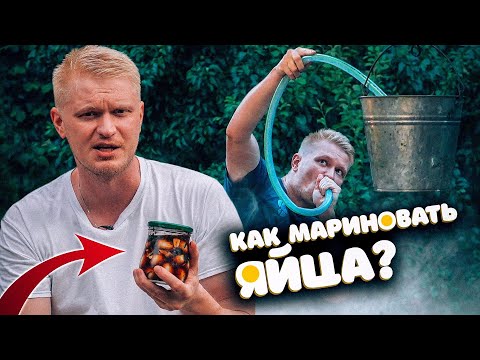 НАШЕЛ ГНЕЗДО? Маринуй ЯЙЦА!