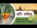 ආර්ය මෛත්‍රී භාවනාව | Arya maithree bawanawa | මොහොතක් ආර්ය මෛත්‍රී භාවනාව වඩමු | රූප සටහන් සහිතයි.