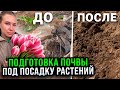 ПОДГОТОВКА ПОЧВЫ ПОД ПОСАДКУ РАСТЕНИЙ НА МЕСТЕ МУСОРКИ | Бюджетные дорожки и мульча