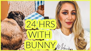 FIRST 24HRS WITH A BABY BUNNY, WHAT ITS REALLY LIKE!