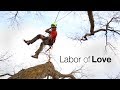 Labor of Love - Tree care