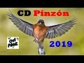 CD Pinzon Cantando 2019