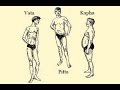 The Ayurvedic Body Types and Their Characteristics (Vata, Pitta, Kapha)