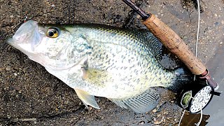 Fly Fishing  BIG SLAB TROPHY CRAPPIE  Jumbo Crappies on the Worm Flies