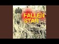 Miniature de la vidéo de la chanson Fallen Star (Electronic Pleasure Mix)