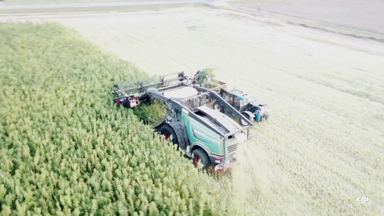 Eurobrands Partner in Dresden