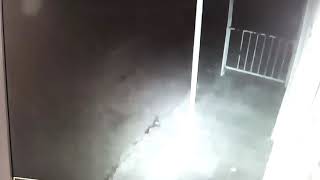 Gece Kameraya Dusmus Qeribe Sey