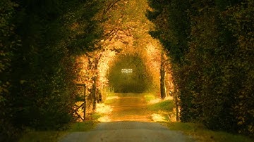 You Didn’t Find This By Accident — You’re Meant To Hear This | 444Hz