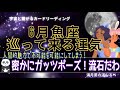 【6月♓️魚座】人間的魅力が不可能を可能にする🎉✨成功の連鎖で満足感と自信が戻って来る👍🏻