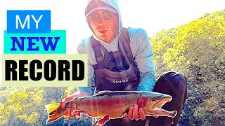 HUGE Rainbow Trout Caught | Little Red River Fly Fishing | Heber Springs, Arkansas