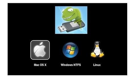 Chameleon  in a USB Stick