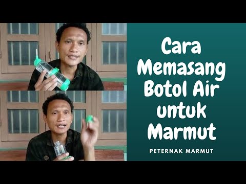 Cara Memasang Botol Air Minum Marmut - Peternak Marmut