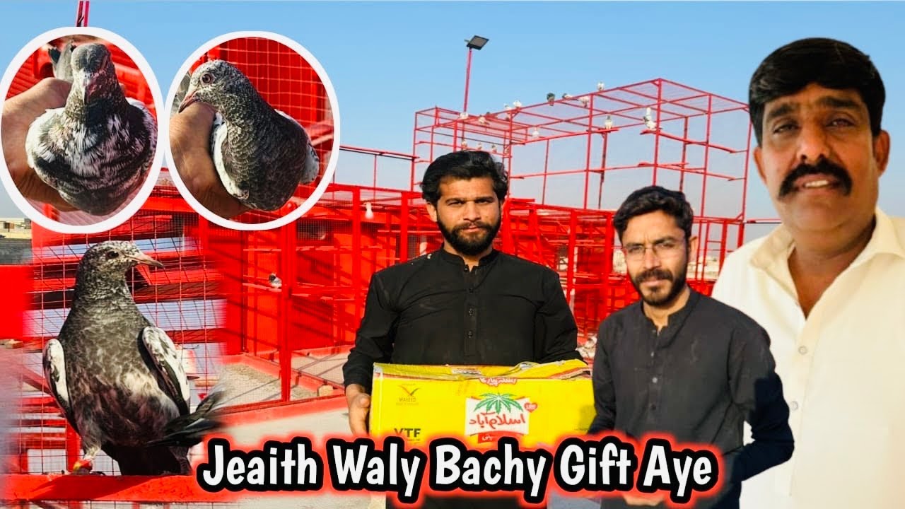 Jeaith Waly Bachy Agaye Gift  Agye 🎁 