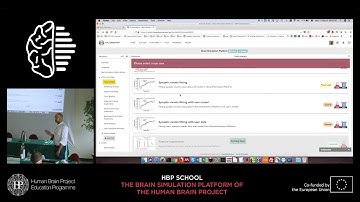 Bologna Luca Leonardo - First steps into the Brain Simulation Platform