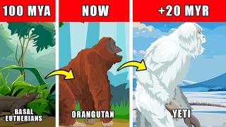 Yeti Origin Evolution: How Yeti Could Have Evolved