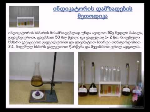 პროექტი ინდიკატორი მოსწავლის შესრულებით