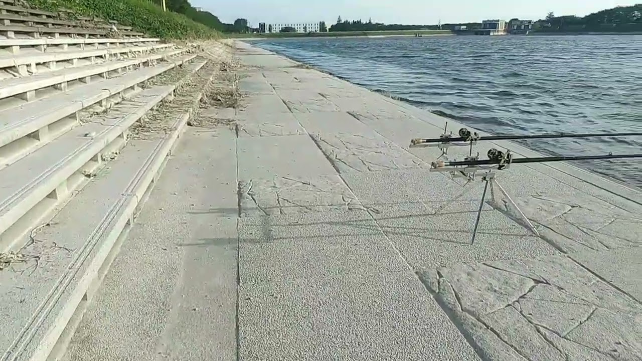 埼玉県幸手権現堂(行幸湖)鯉釣り゙釣行🎏＃CARPfishing