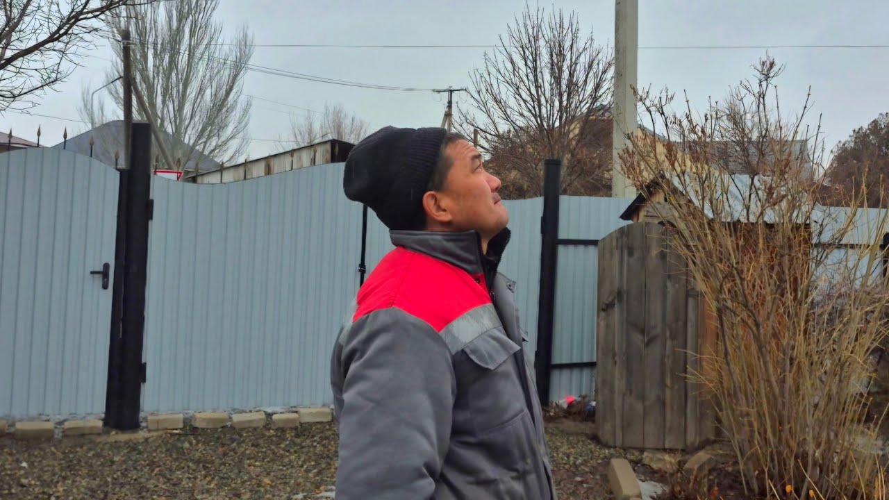 Голуби не любят гостей🙂 Непогода, подход тренера. 