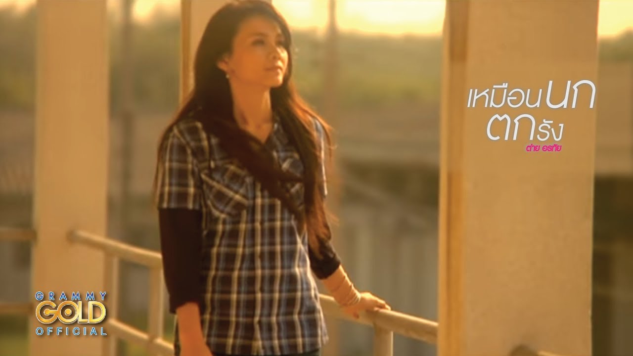 ปกเพลง เหมือนนกตกรัง — TAI ORATHAI