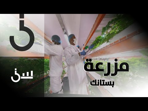 سين حلقة 23 أكبر مزرعة عمودية مائية في العالم مزرعة بستانك في الإمارات وجولة كاملة داخلها