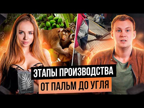 Как производят уголь для кальяна? Почему уголь дорожает?