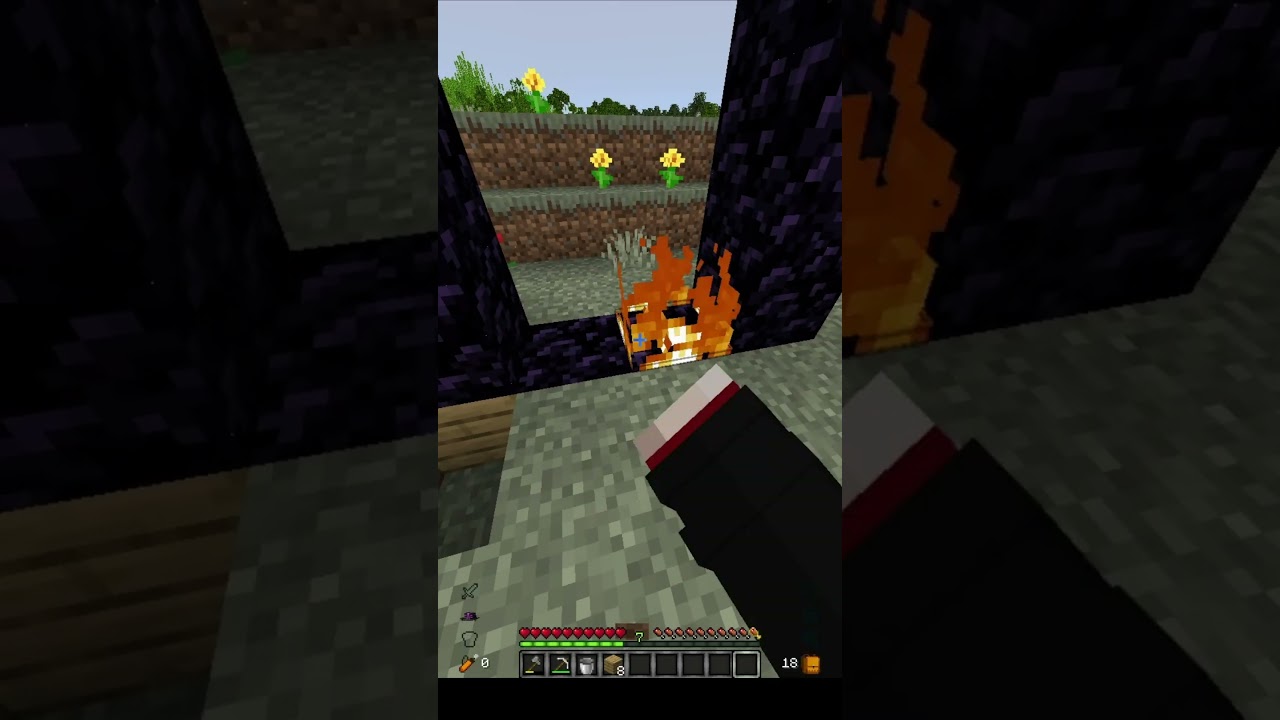 Забыл зачем шёл в ад на SovaMine (sovamine.gomc.fun) 1.16-1.19.4