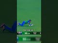 Mohammad rizwan superman catch  cricket shorts