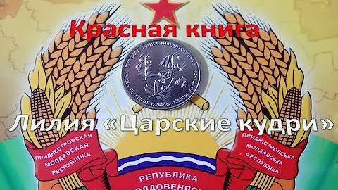 Красная книга - Лилия 