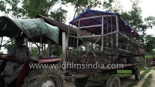 Workers at Sangsua Tea Garden in Assam