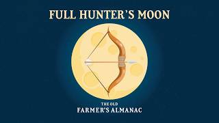 Details Full Hunter's Moon ~ Live Seestar S50 Update