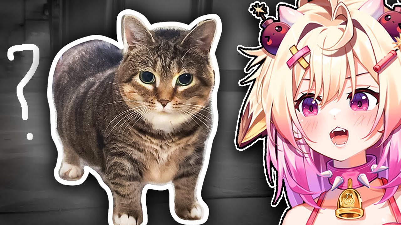 Where Did the OIIA Meme Come From? | Rosiebellmoo Reacts