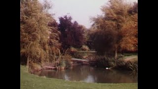 Plantsoen Sint Annaparochie 1937 - 2009