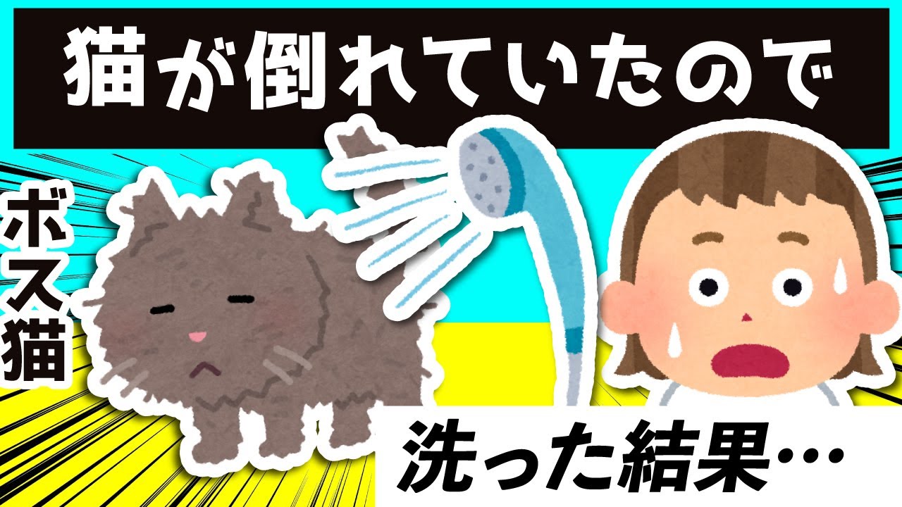 ボス野良猫が倒れていたので、お風呂に入れた結果…ｗｗｗ