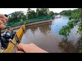 This spot pays off  noosa river fishing